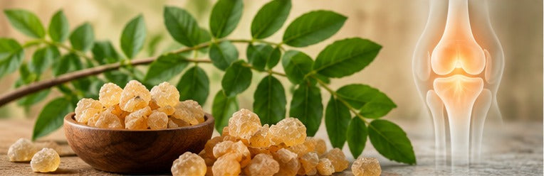Shallaki Boswellia resin with a joint wellness concept