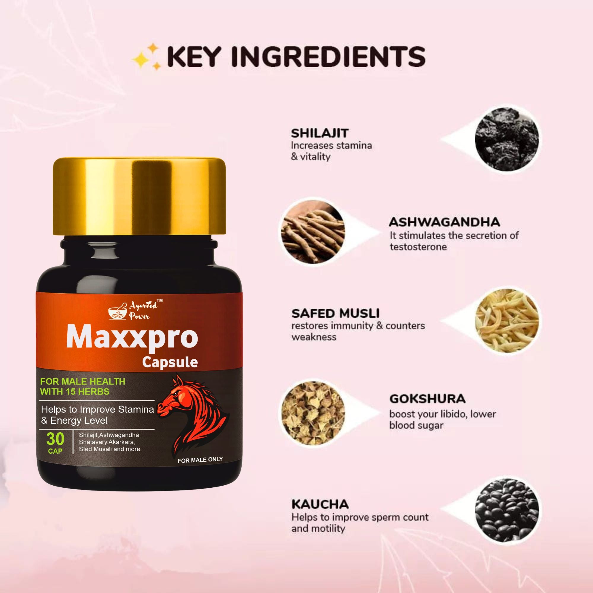 Maxxpro Capsule 2+1 Free